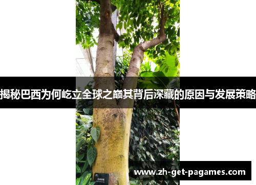 揭秘巴西为何屹立全球之巅其背后深藏的原因与发展策略 揭秘巴西为何屹立全球之巅其背后深藏的原因与发展策略