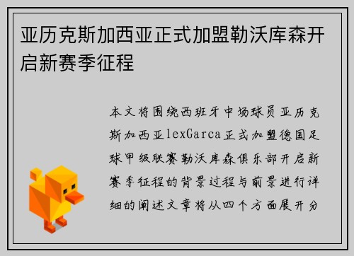 亚历克斯加西亚正式加盟勒沃库森开启新赛季征程